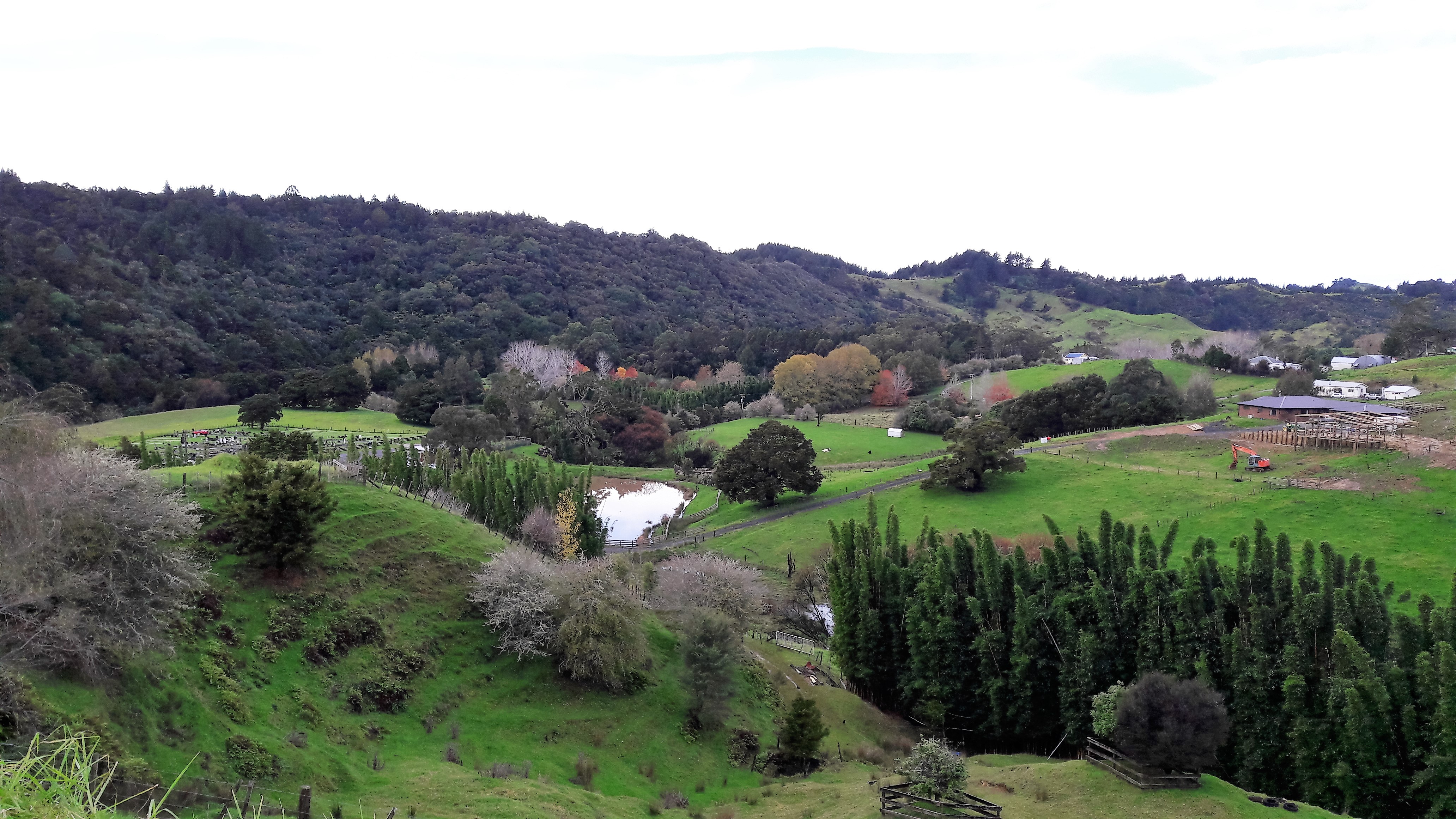 161 Ahuroa Road, Puhoi, Auckland - Rodney, 4房, 1浴