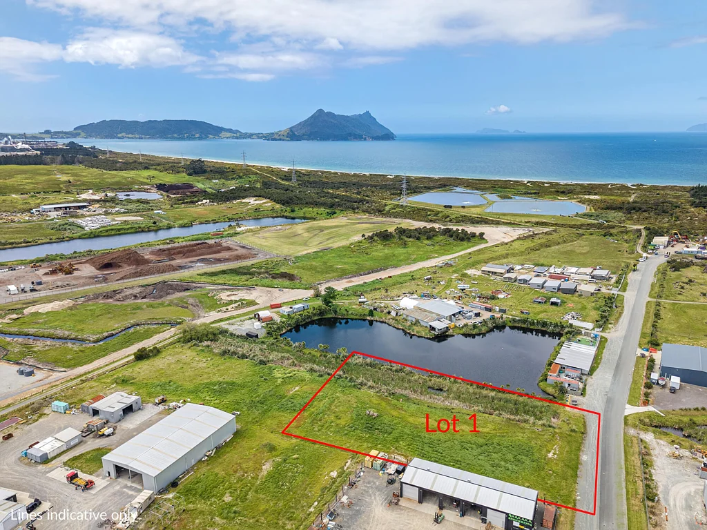 Ruakaka Industrial Land - Lot 1 Innovate Rd Ruakaka