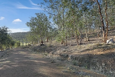 15 Fallow Drive, Cambridge, TAS 7170, 0 slaapkamers, 0 badkamers, Section
