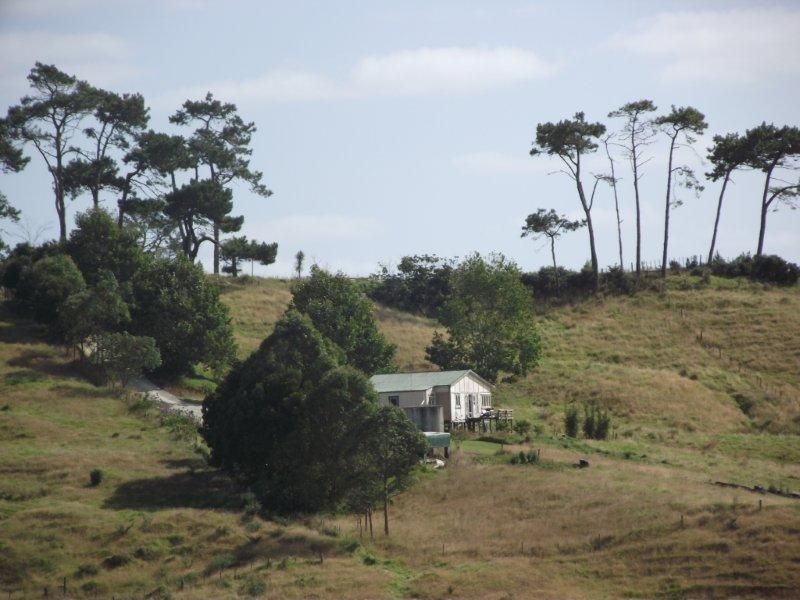 50 Ingleton Road, Wellsford, Auckland - Rodney, 3 Bedrooms, 1 Bathrooms