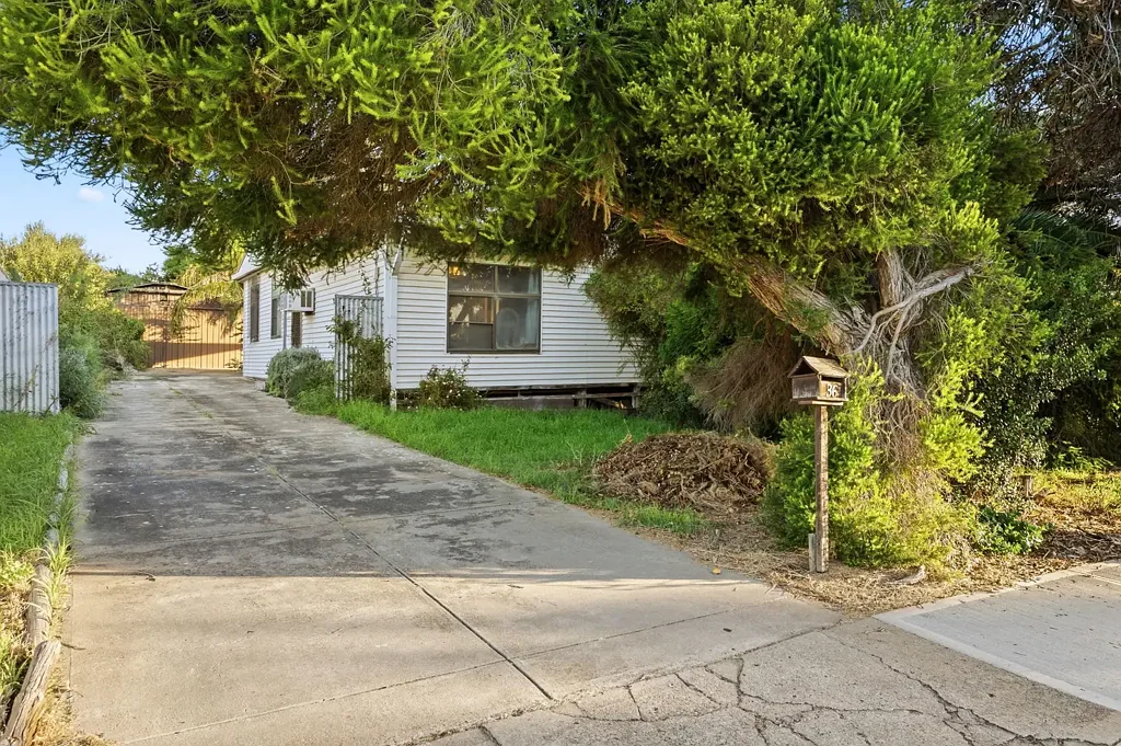 Seacombe Gardens 3房  Character-Filled Home on a Generous Block