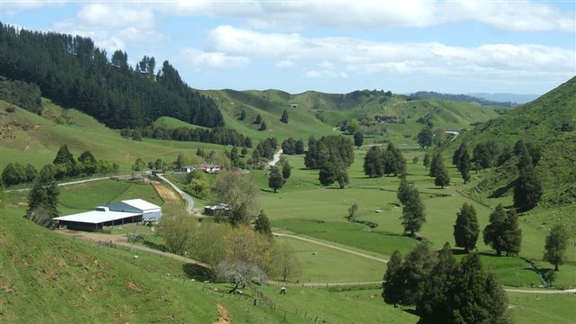 529 Matiere Road, Aria, Waitomo, 0 Bedrooms, 0 Bathrooms