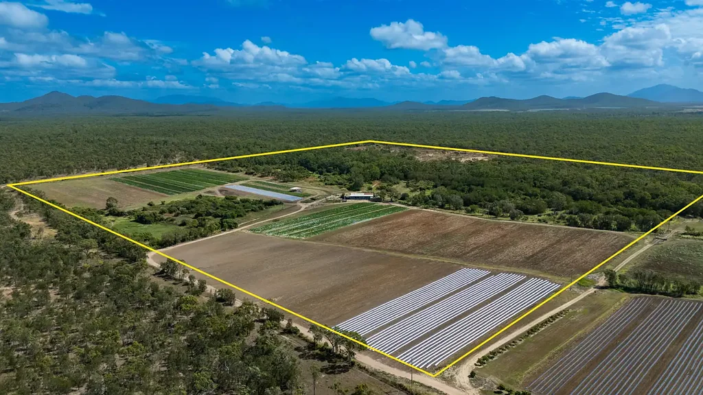 Bowen 96 Acres Of Opportunity