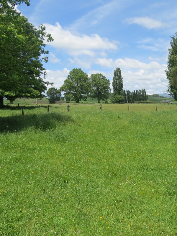 Whawharua Road, Otorohanga, Otorohanga, 0 침실, 1 욕실, Lifestyle Section