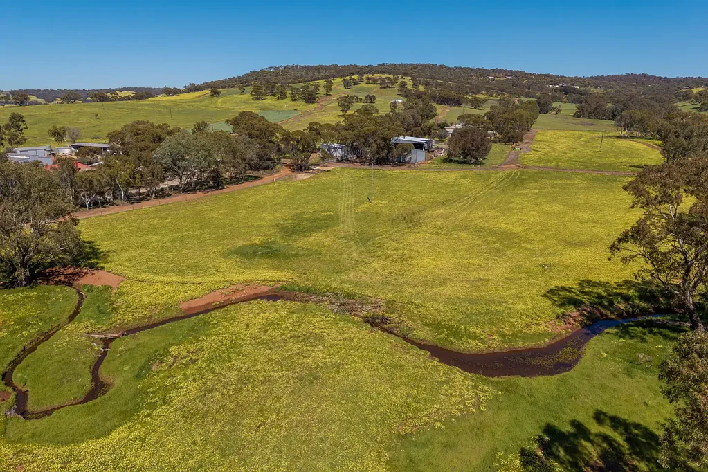Coondle 70 Acres in Coondle
Immaculate Farming Property & Lifestyle Opportunity