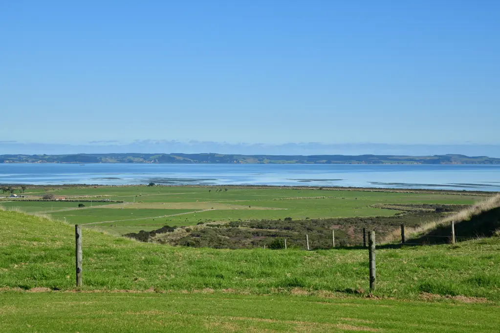Kaipara Flats King of the Kaipara living the dream