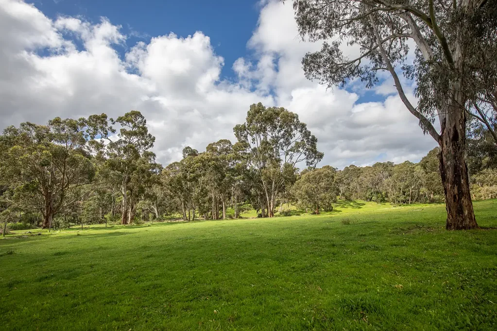 Scott Creek An Exceptional 23-acre Hills Holding - Just 10 Minutes from Stirling.