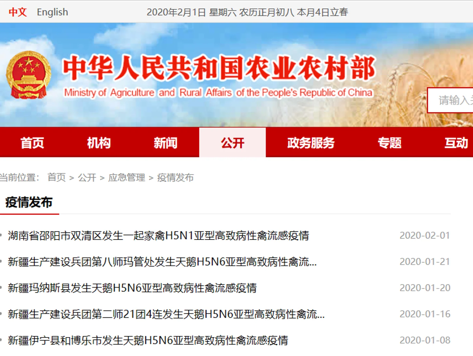 新疆湖南连发5起禽流感疫情 动物疫情形势严峻