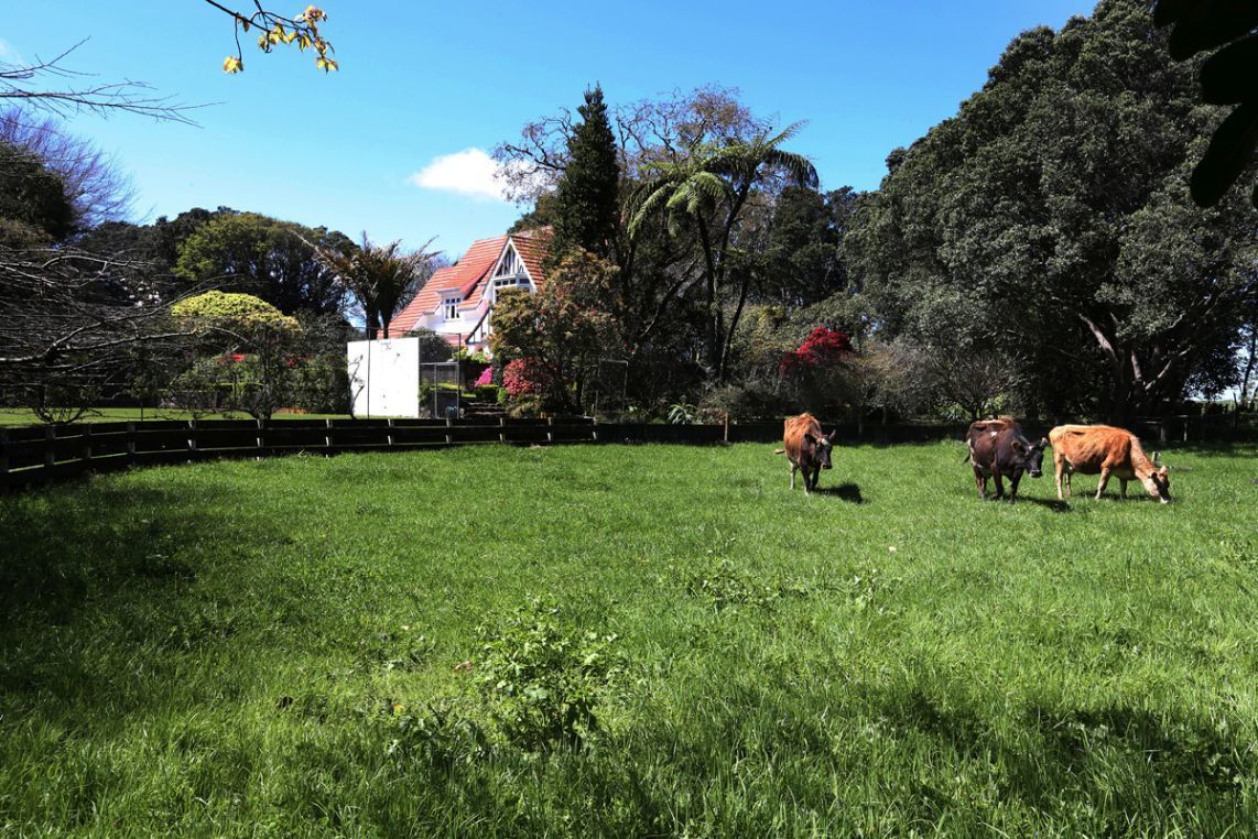 1140 Ohangai Road, Ohangai, South Taranaki, 5 Bedrooms, 2 Bathrooms