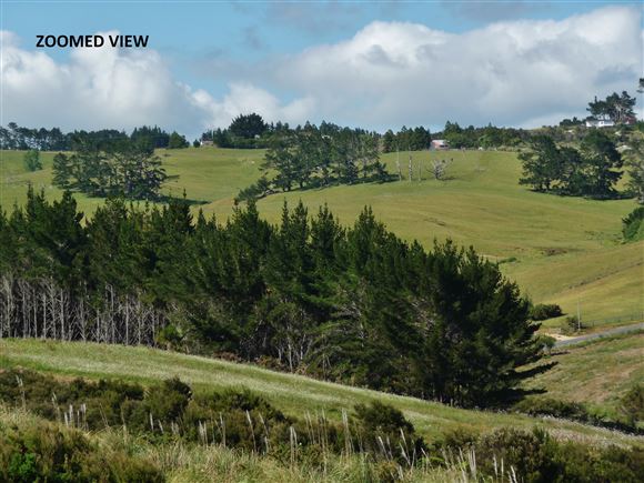 16 Freyja Crescent, Coopers Beach, Far North, 0房, 0浴