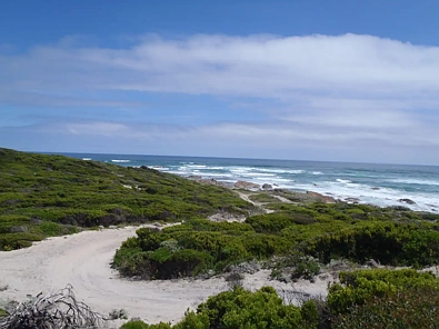 Address Withheld, Nugara, TAS 7256, 0 Bedrooms, 0 Bathrooms, Section