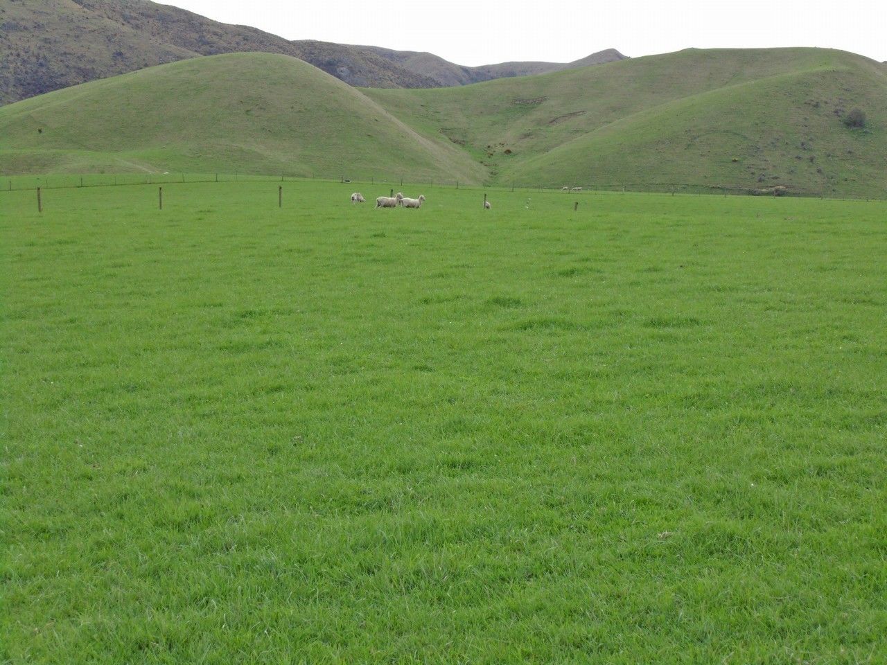 36 Chalmers Road, Palmerston, Waitaki, 0 habitaciones, 0 baños