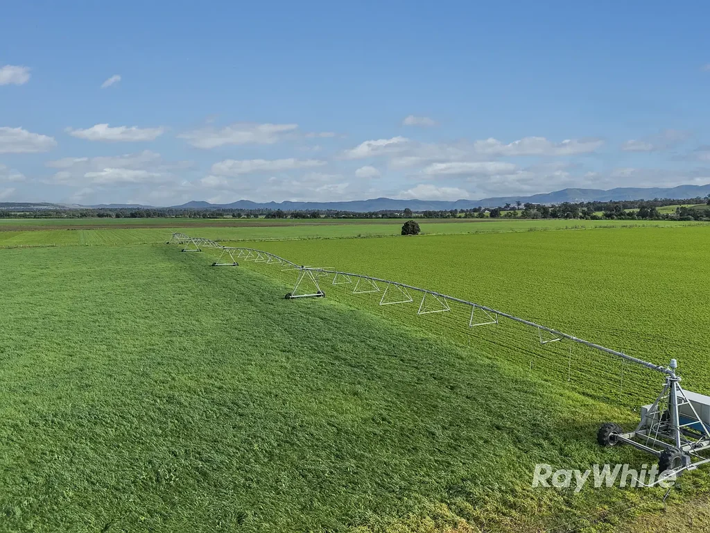 Singleton Highly Productive Irrigation Property with Extensive Water Entitlement