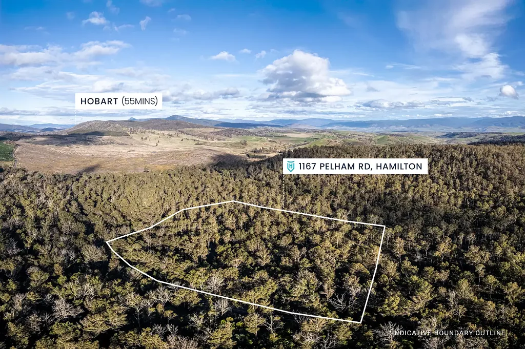 Hamilton  'Bullock Hills Reserve' – A Rare Tasmanian Conservation Lifestyle Opportunity