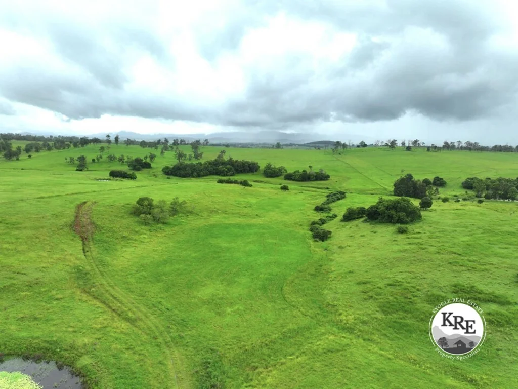 Kyogle  CATTE COUNTRY