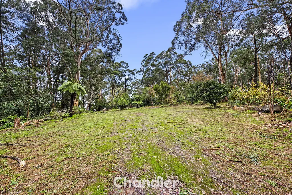 Selby 超过1英亩的私密、便利与自然美景！ PRIVACY, CONVENIENCE & NATURAL BEAUTY ON OVER 1 ACRE!