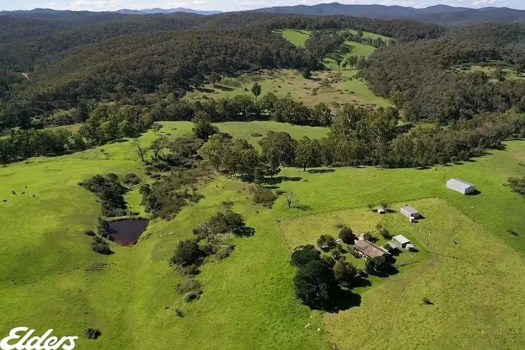 Briagolong Cascade Valley
