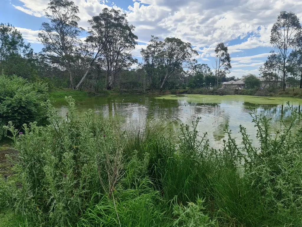 Address Withheld, Tahmoor, NSW 2573