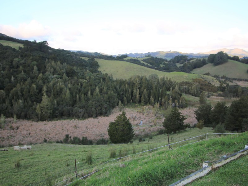 100 Fisher-Riley Road, Kaitaia, Far North, 3 Bedrooms, 1 Bathrooms, Specialist Livestock