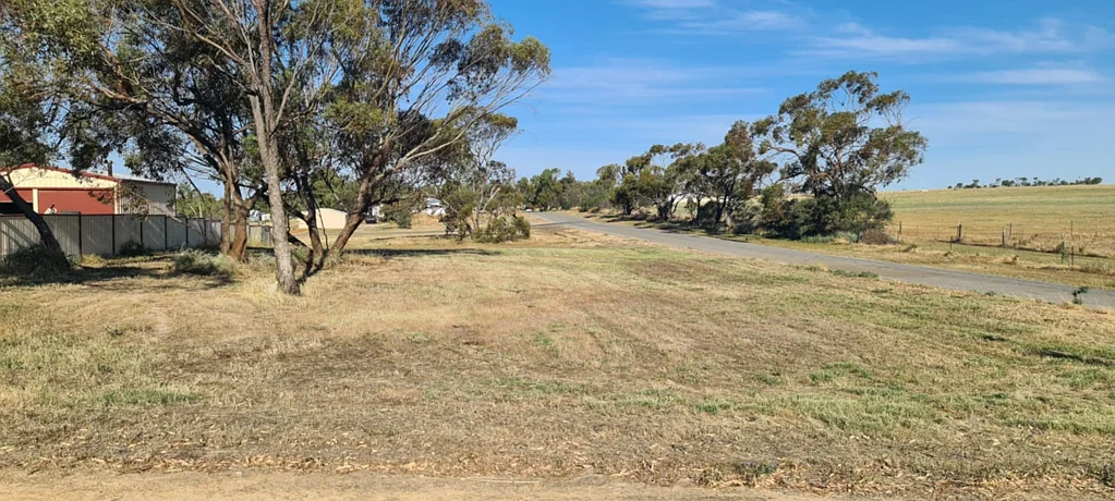 20 Fogarty Street, Mingenew, WA 6522