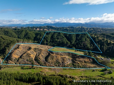 Supplejack Valley Road, Upper Moutere, Tasman, 0 Bedrooms, 0 Bathrooms, Lifestyle Section