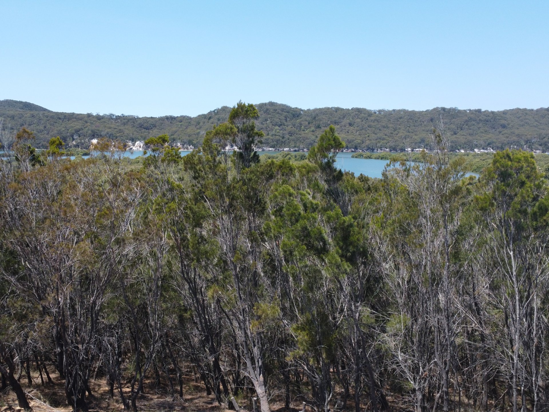 37 BAUHINIA DR, RUSSELL ISLAND QLD 4184, 0 rūma, 0 rūma horoi, Section