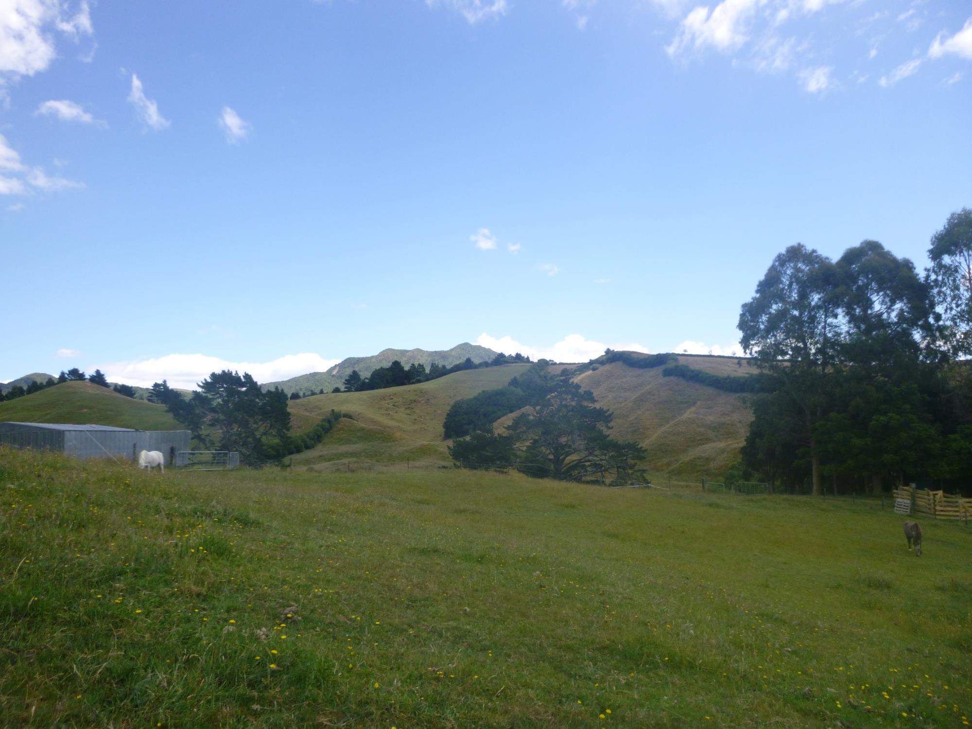 86 Kennedy Road, Waikino, Hauraki, 0 Bedrooms, 0 Bathrooms