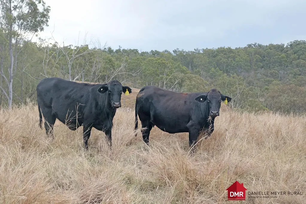 Eidsvold Breeder Block $11,000.00 per breeder area