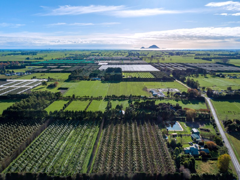 5 Melville Road, Whakatane, Whakatane, 3 rūma, 0 rūma horoi, Horticulture