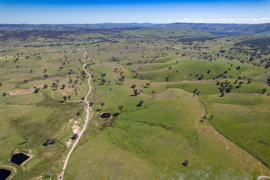 Crookwell "Somerset"