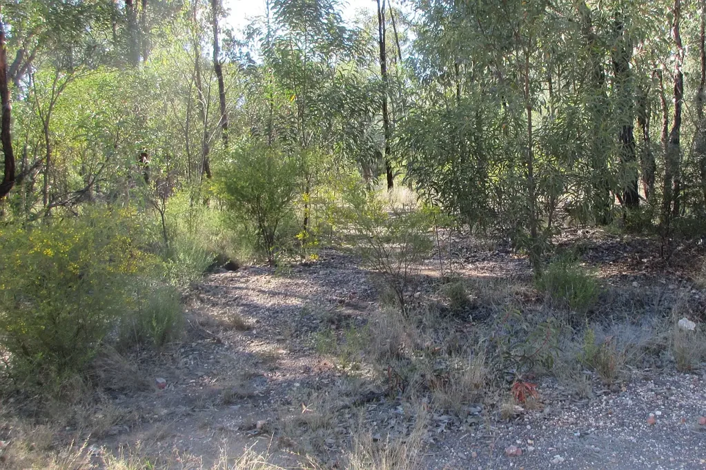 Tara 29.65 acres on a rise