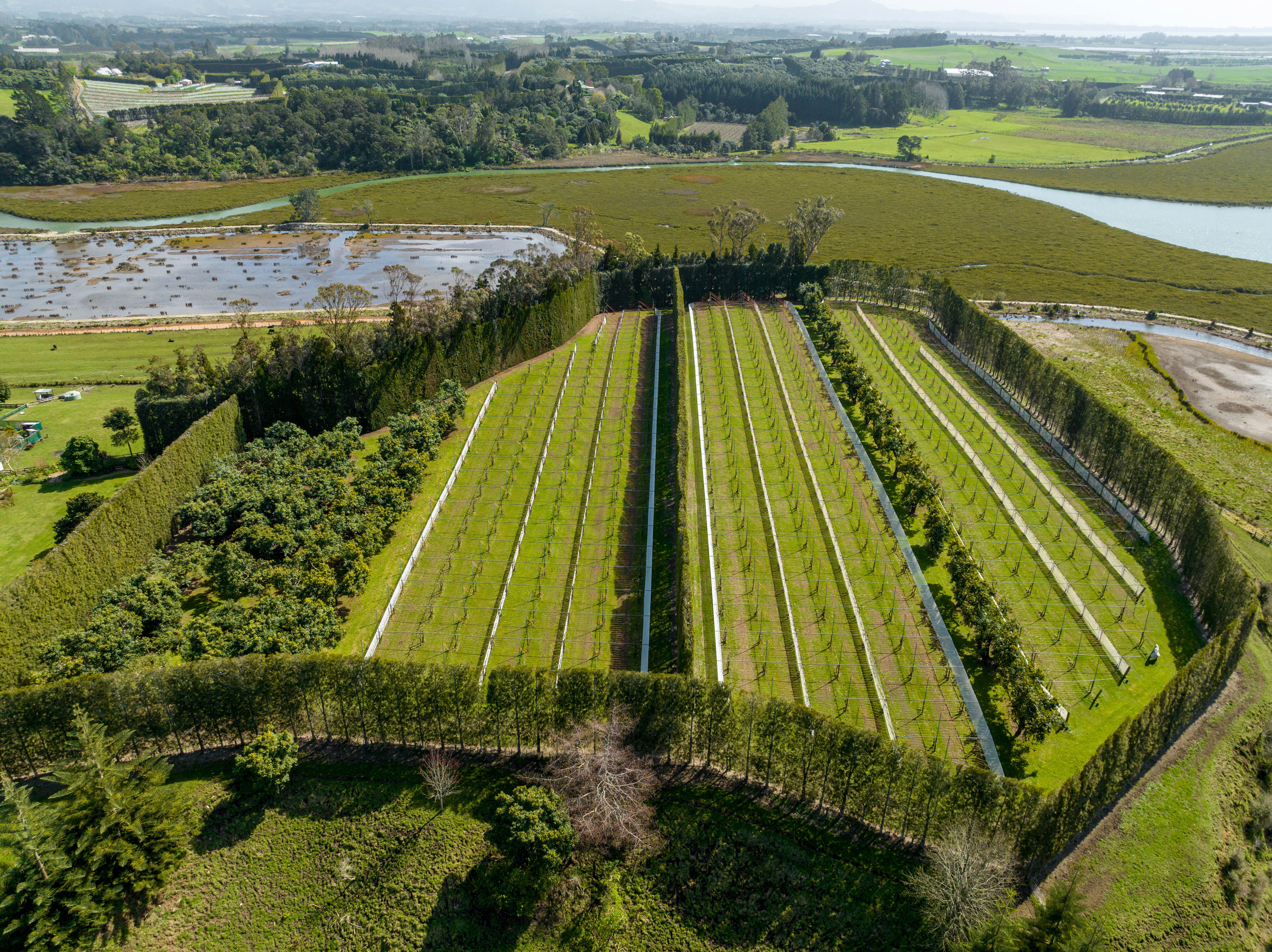 12 Sargent Drive, Whakamarama, Bay Of Plenty, 0 phòng ngủ, 1 phòng tắm, Horticulture