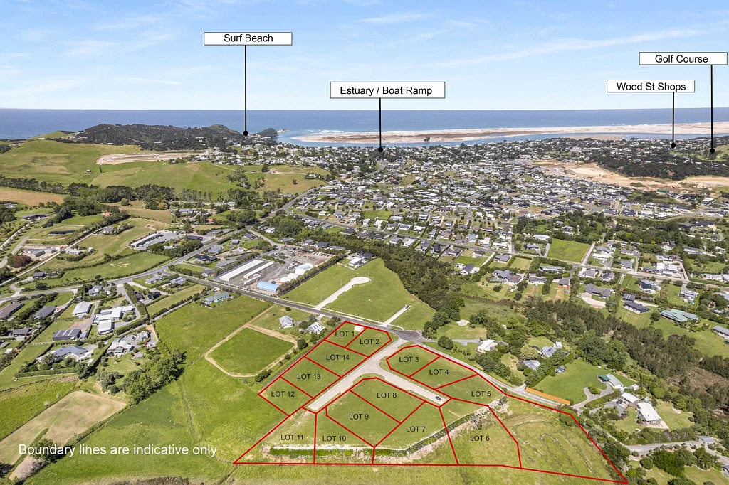 Mangawhai Heads Large Heads Sections -New Release