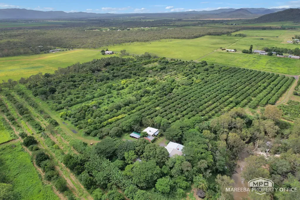 Mareeba A RARE CREEKFRONT FARMING & LIFESTYLE HOLDING JUST MINUTES FROM MAREEBA