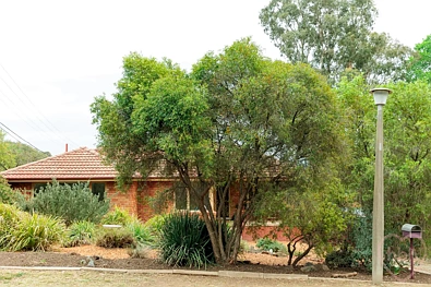 20 RICHARDS ST, HACKETT ACT 2602, 0 Schlafzimmer, 0 Badezimmer, House