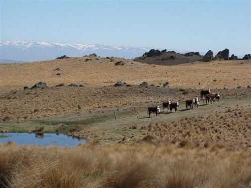 28 Puketoi Runs Road, Puketoi, Otago, 0 રૂમ, 0 બાથરૂમ