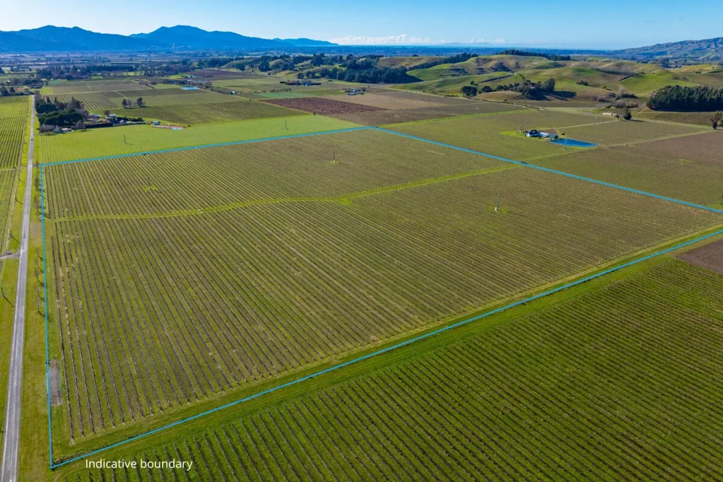 Fairhall 9 Year Grape Supply Agreement - Hawkesbury