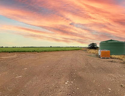 'Gressenhall' 219 Howes Lane, West Wyalong, Riverina, 0房, 0浴, Lifestyle Property