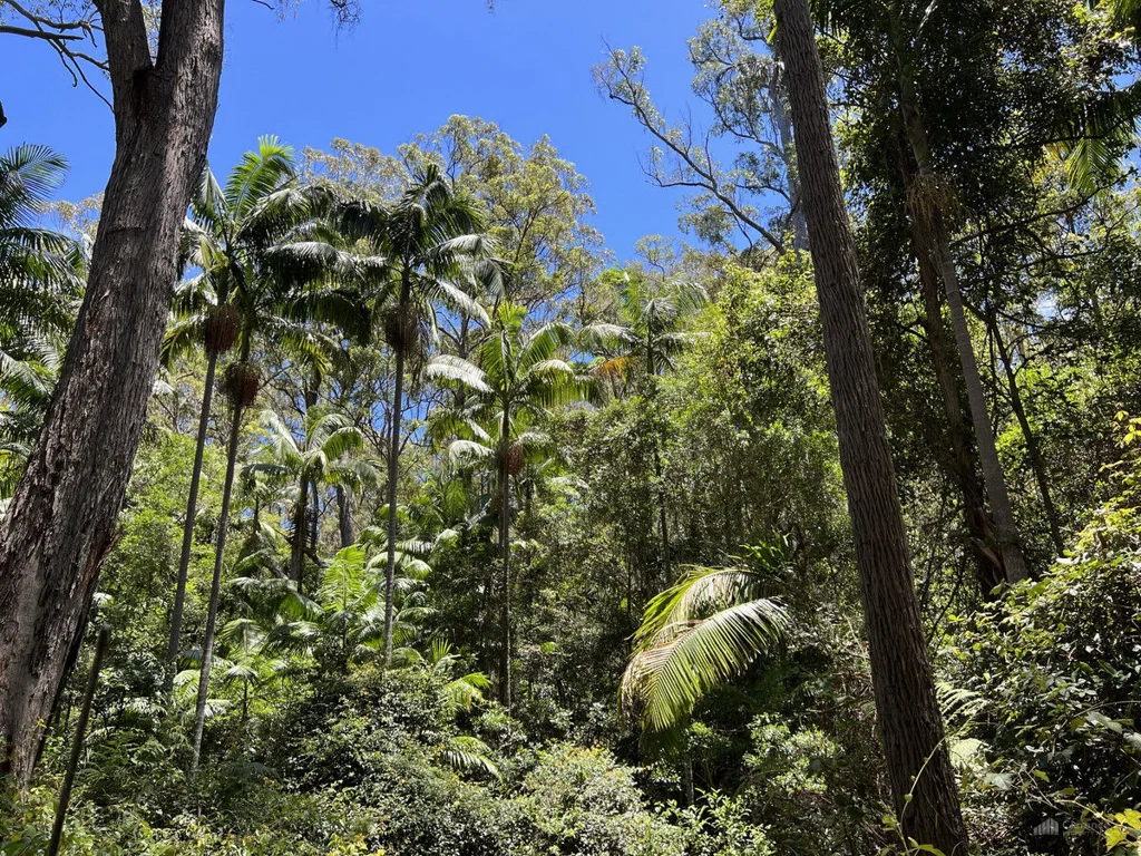 Pillar Valley  A World of Natural Beauty ? Large Coastal Acreage