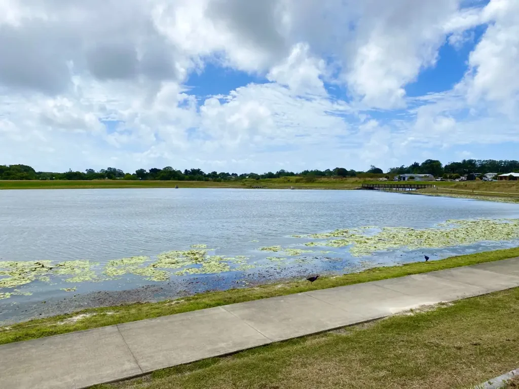 99 Superior Boulevard, Andergrove, QLD 4740