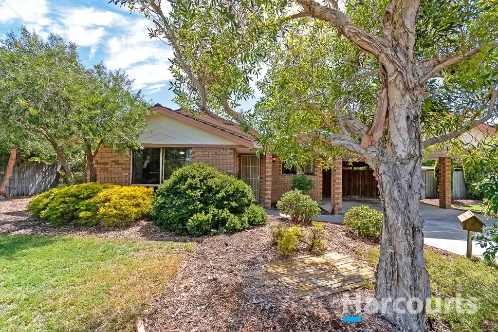 Joondalup 4 Bedroom First Home Charm with Exciting Future Potential