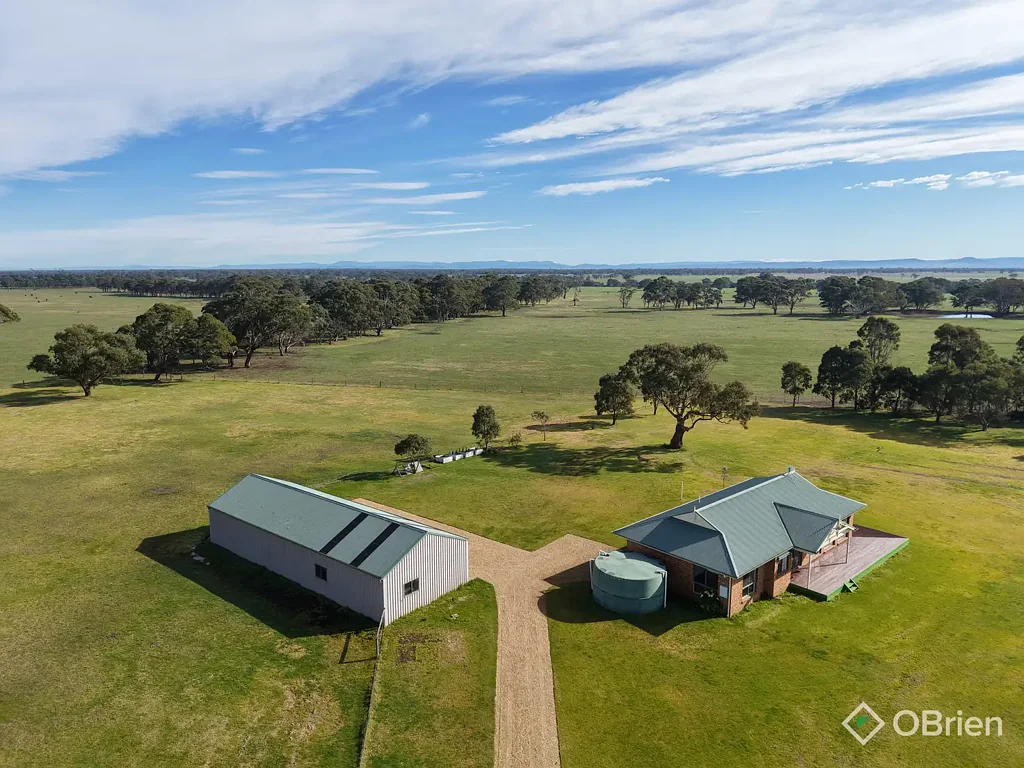Forge Creek 3Moenga Wonderful Williamson