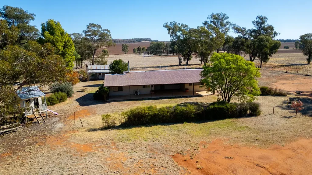 331 Bygoo Road, Ardlethan, NSW 2665
