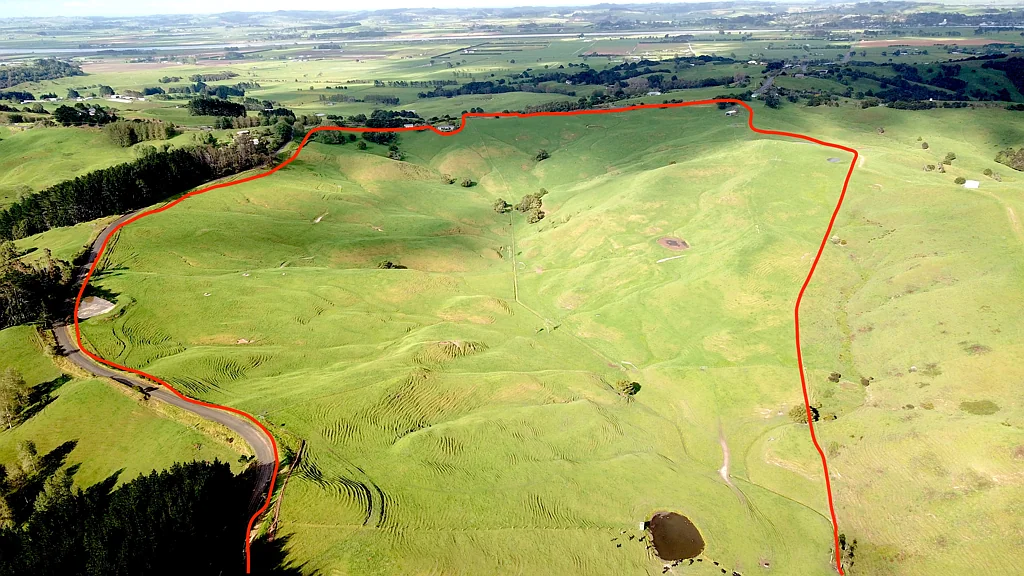 Dargaville  Lifestyle Block or Runoff