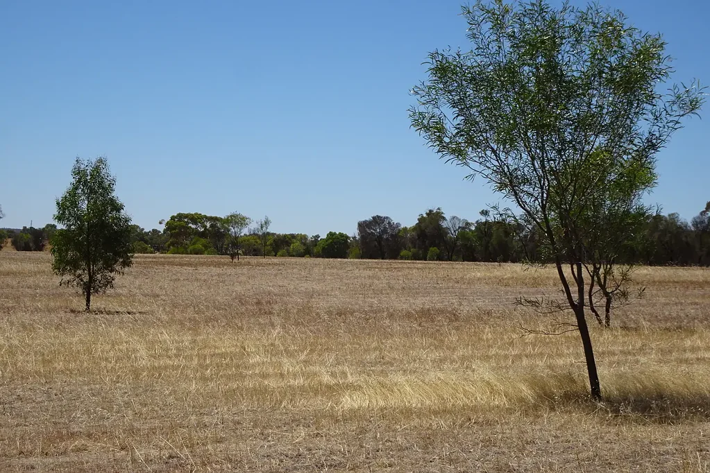 5 Realm Street, Pingelly, WA 6308