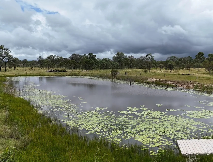 154 Nimmitabel Road, St Lawrence, Mackay, 1 Bedrooms, 1 Bathrooms, Lifestyle Property