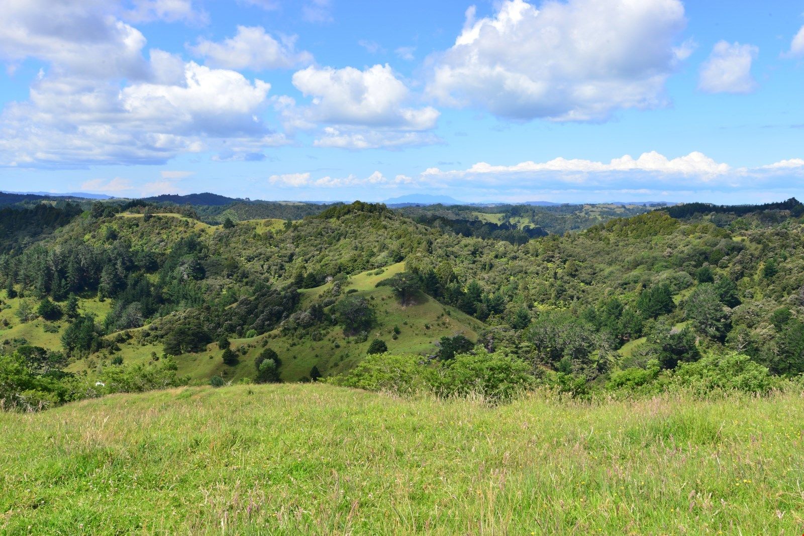 24 Grant Ridge Road, Puhoi, Auckland - Rodney, 3 Bedrooms, 0 Bathrooms