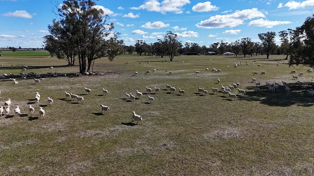 Parkes Owned by the same Family for 36 Years