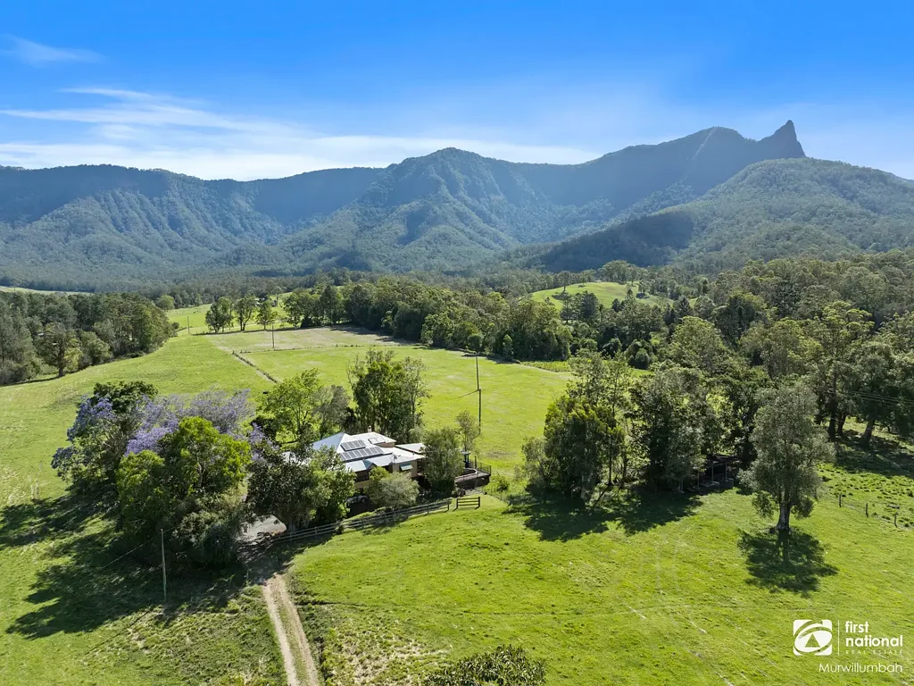 252 Back Creek Road, Back Creek, NSW 2484