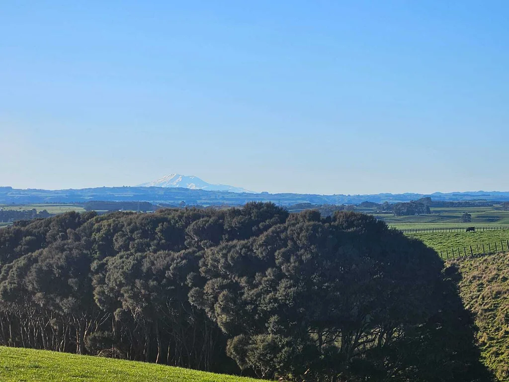 Halcombe North facing section - 5644m2